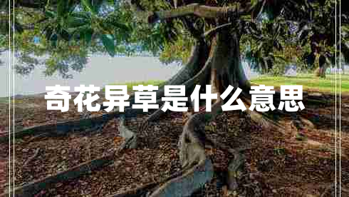 奇花異草是什么意思