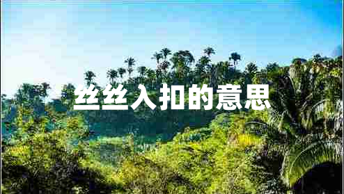 絲絲入扣的意思 絲絲入扣的意思