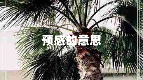 預感的意思