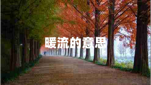 暖流的意思 暖流的意思