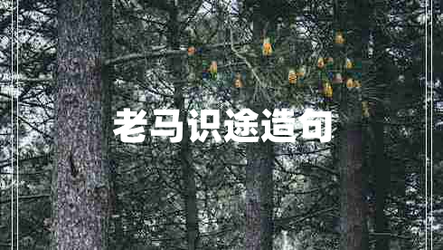 老馬識途造句
