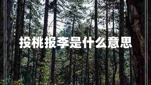 投桃報(bào)李是什么意思 投桃報(bào)李是什么意思