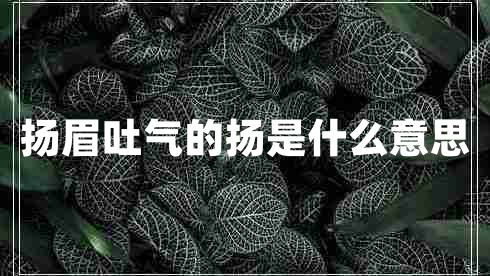 揚(yáng)眉吐氣的揚(yáng)是什么意思