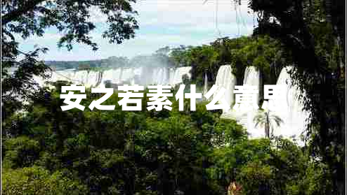 安之若素什么意思 安之若素什么意思