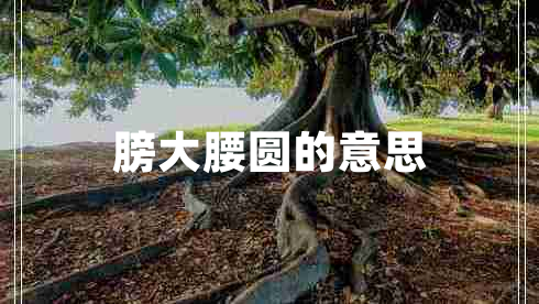 膀大腰圓的意思