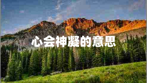 心會神凝的意思