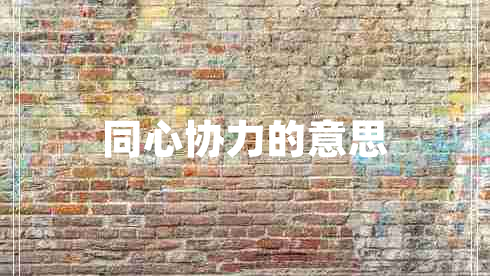 同心協(xié)力的意思 同心協(xié)力的意思