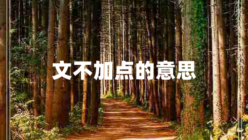 文不加點的意思