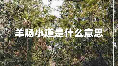 羊腸小道是什么意思 羊腸小道是什么意思