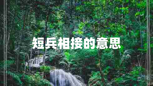 短兵相接的意思