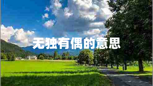 無獨(dú)有偶的意思