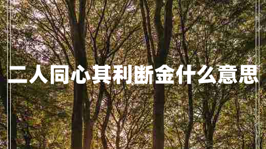 二人同心其利斷金什么意思
