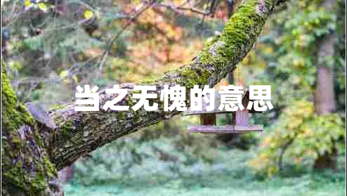 當(dāng)之無愧的意思