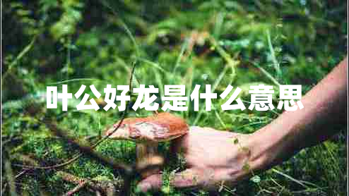 葉公好龍是什么意思