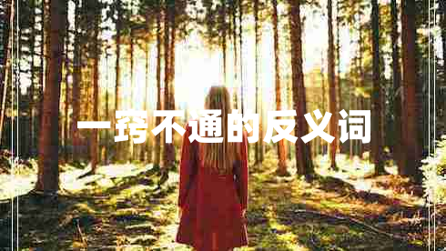 一竅不通的反義詞