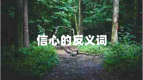 信心的反義詞
