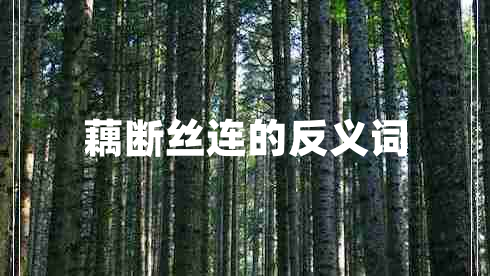 藕斷絲連的反義詞