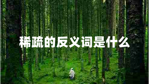 稀疏的反義詞是什么