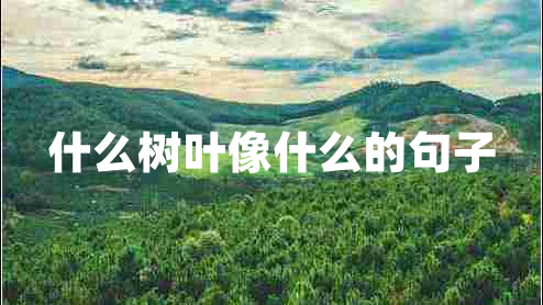 什么樹葉像什么的句子 什么樹葉像什么的句子