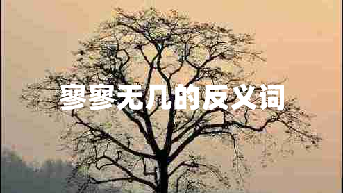 寥寥無幾的反義詞