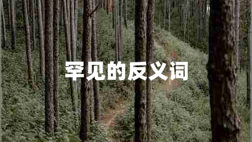 罕見(jiàn)的反義詞