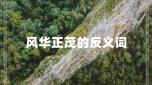 風(fēng)華正茂的反義詞