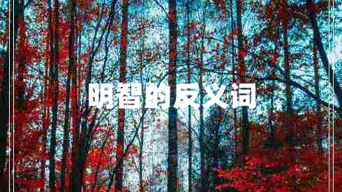 明智的反義詞