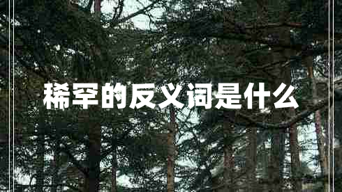 稀罕的反義詞是什么