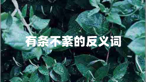 有條不紊的反義詞