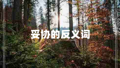 妥協(xié)的反義詞