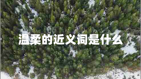 溫柔的近義詞是什么