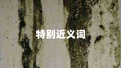 特別近義詞
