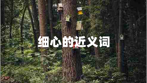 細(xì)心的近義詞