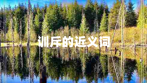 訓(xùn)斥的近義詞