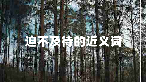 迫不及待的近義詞