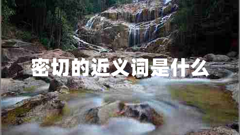密切的近義詞是什么