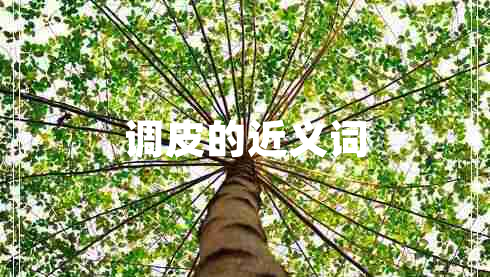 調(diào)皮的近義詞