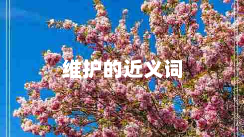 維護(hù)的近義詞