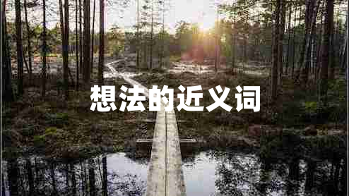 想法的近義詞