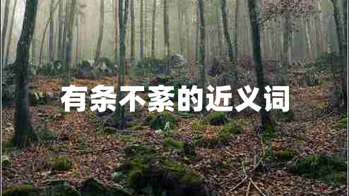 有條不紊的近義詞