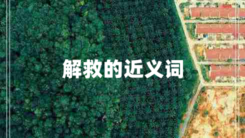 解救的近義詞