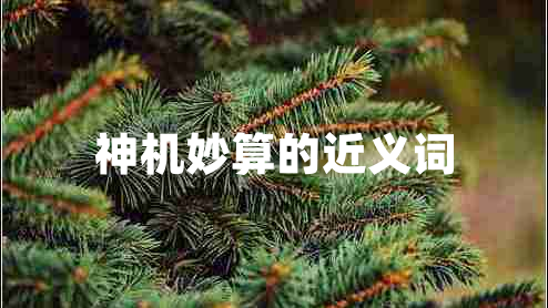 神機(jī)妙算的近義詞