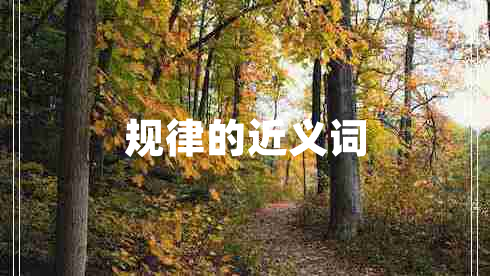 規(guī)律的近義詞