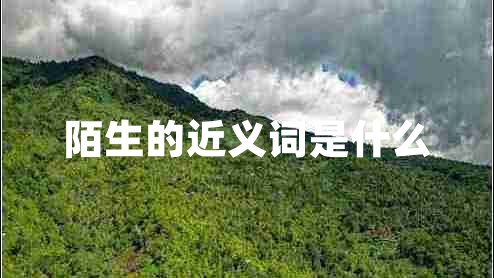 陌生的近義詞是什么