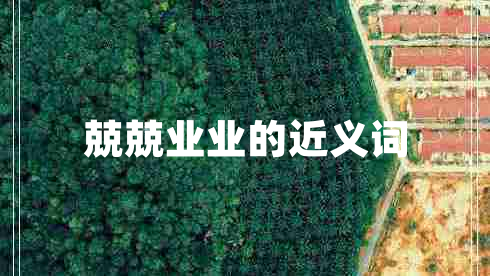 兢兢業(yè)業(yè)的近義詞