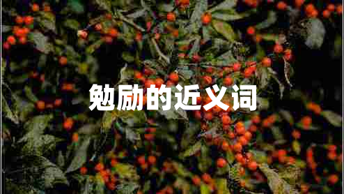 勉勵(lì)的近義詞