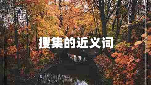 搜集的近義詞