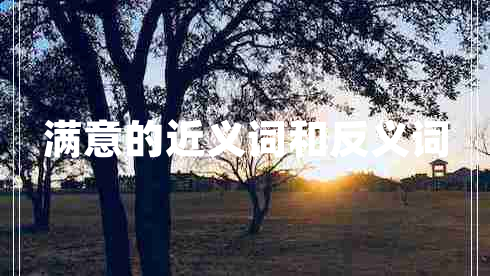 滿意的近義詞和反義詞