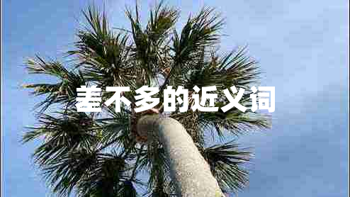 差不多的近義詞