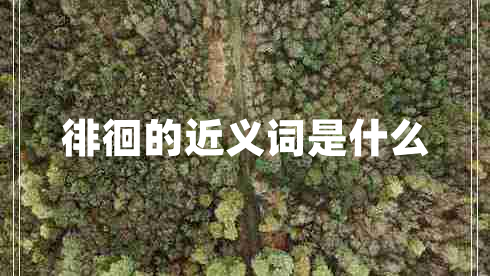 徘徊的近義詞是什么